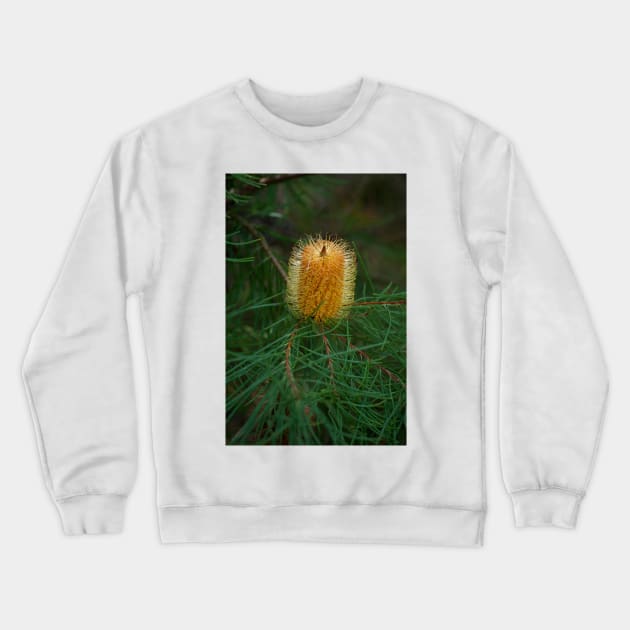 Hairpin Banksia Crewneck Sweatshirt by GP1746